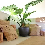 Casa Bodhi Boutique & Marbella