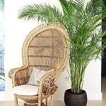 Casa Bodhi Boutique & Hotel Marbella