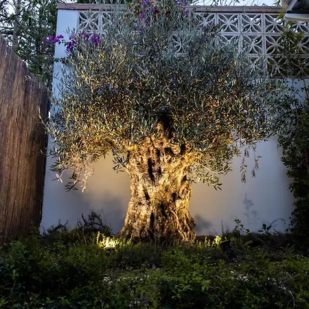 Hotel Casa Bodhi Boutique & Marbella